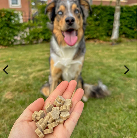 Soopa Pumpkin Spiced Latte Bites 50g