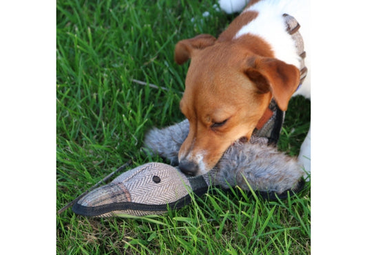 Heritage Tweed Duck Toy
