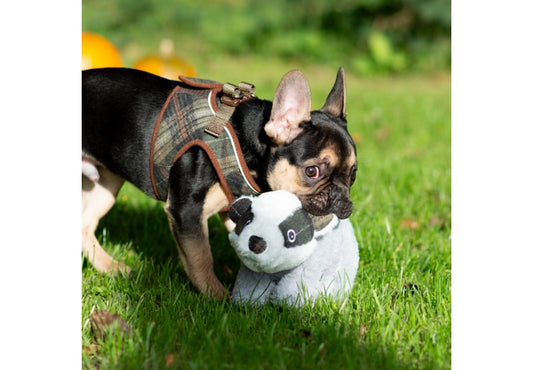 Badger Toy
