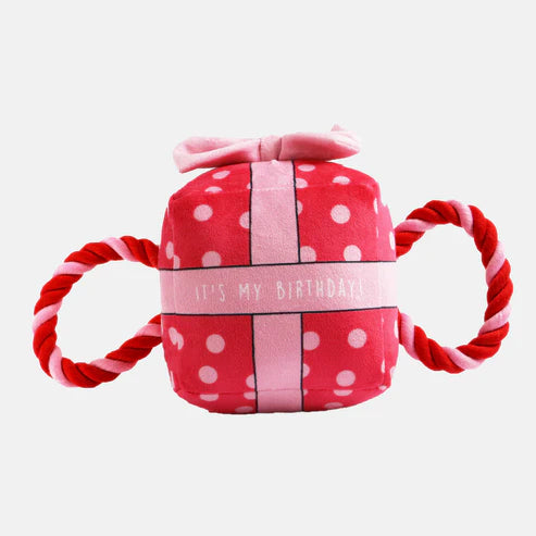 Ancol It's My Birthday Present Dog Toy - large