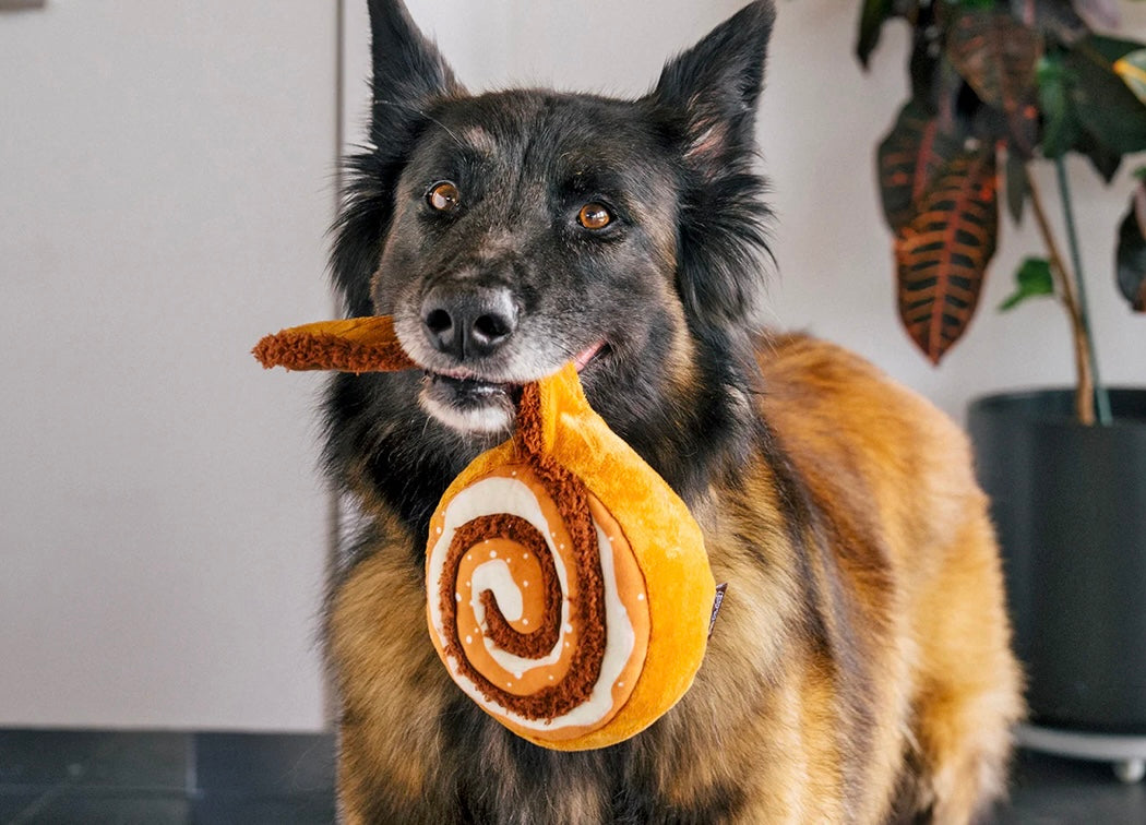 Pup Cup Cafe Cinna-bone