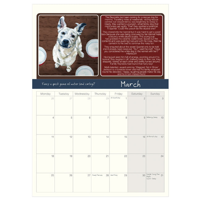 2024 Scruffy Mutts’ Calendar | A Dog’s Life