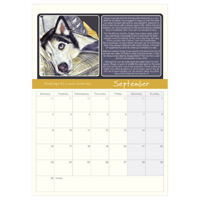 2024 Scruffy Mutts’ Calendar | A Dog’s Life