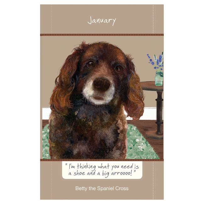 2024 Scruffy Mutts’ Diary | A Dog’s Life | Dogs Trust