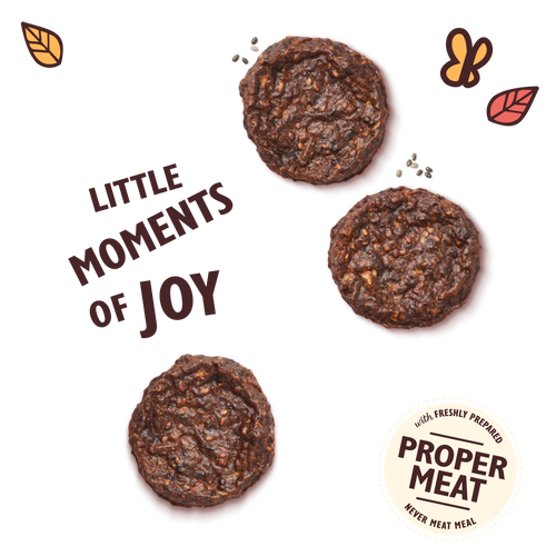 Lily's Kitchen Beef Mini Burgers