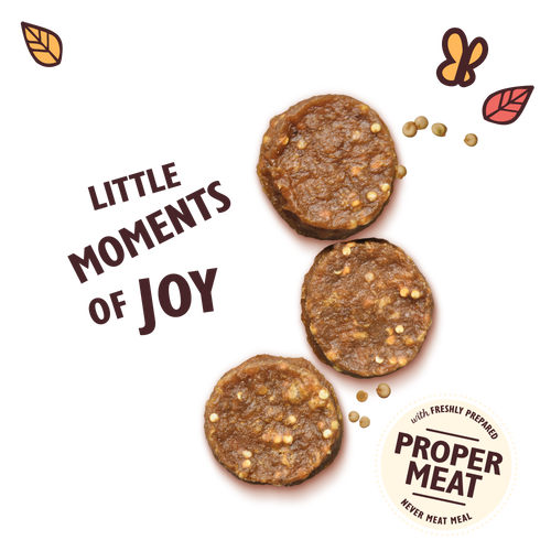 Lily's Kitchen Chomp-Away Chicken Bites