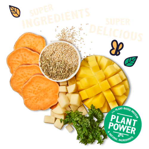 Lily's Kitchen Tropical Mango Jerky