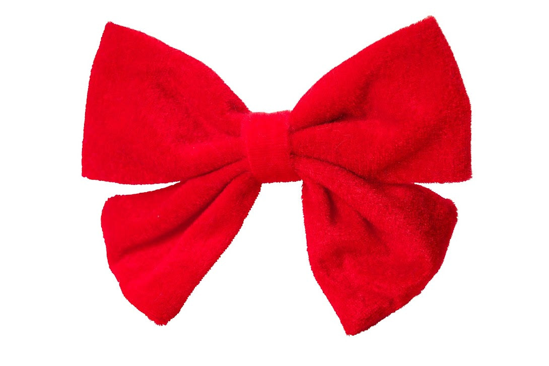 House of Paws Oversized Red Velvet Dog Bow Tie