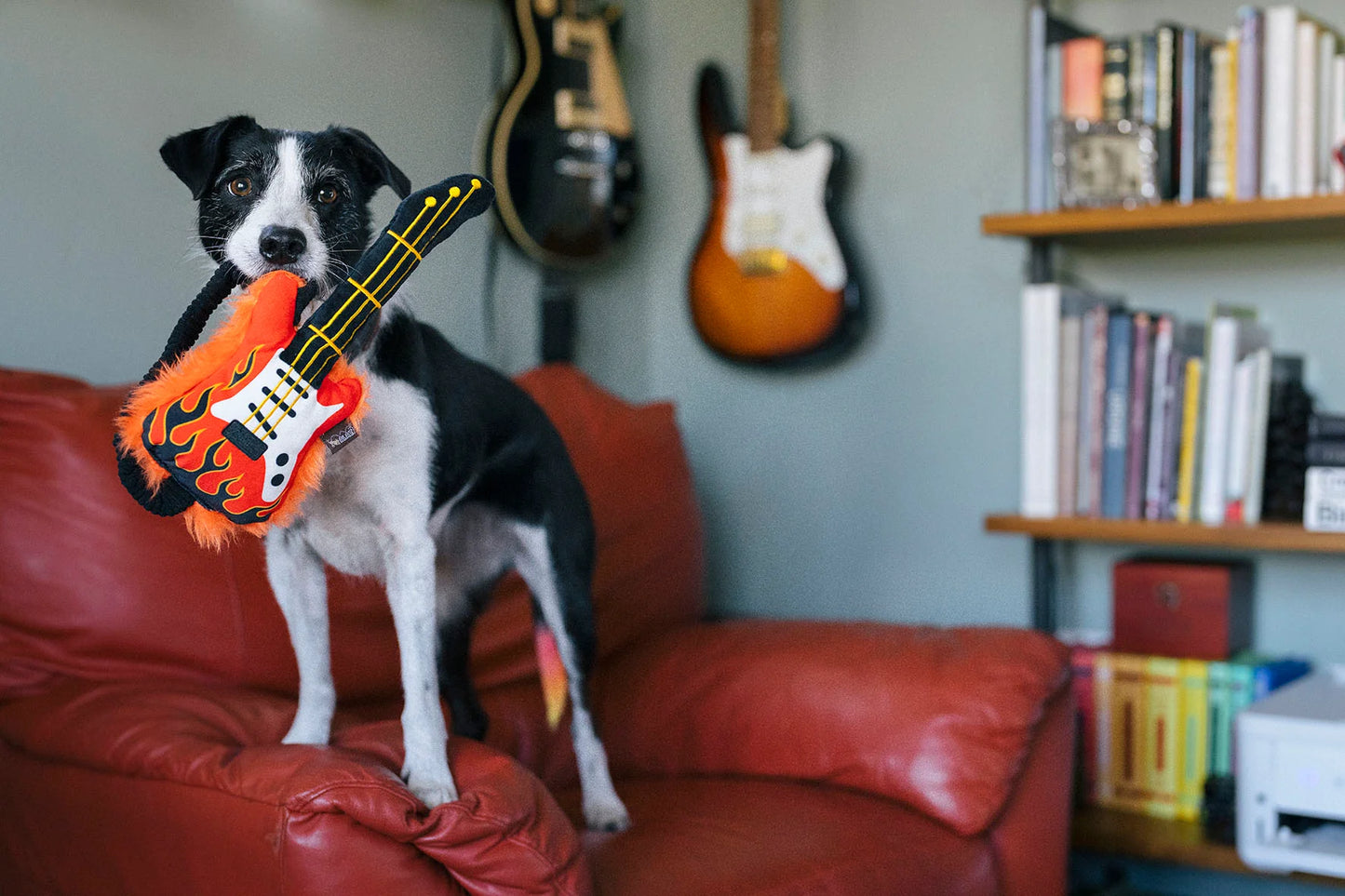 90's Classic Guitar Dog Toy