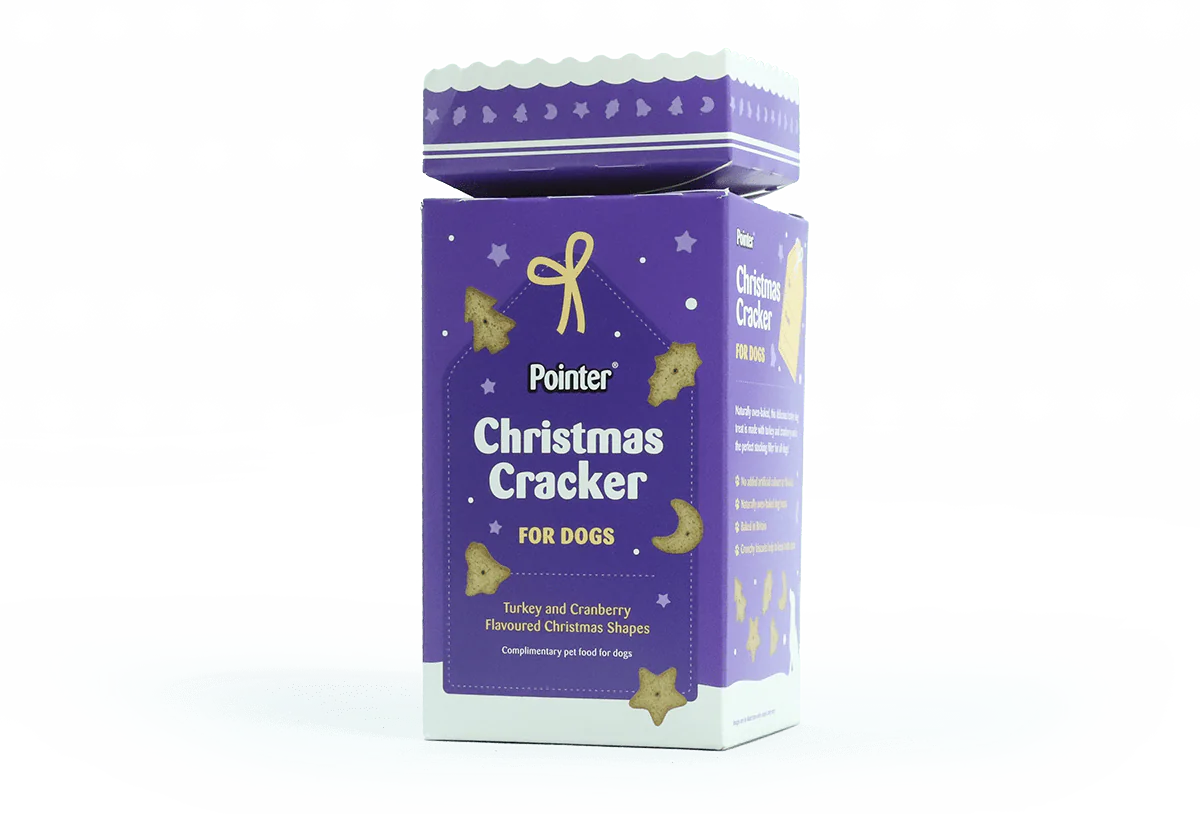 Pointer Christmas Cracker for Dogs