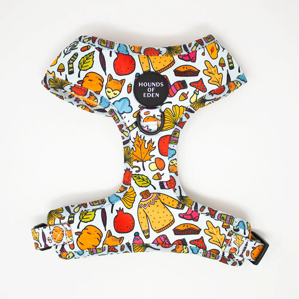 Hounds of Eden Country Pumpkin Dog Harness