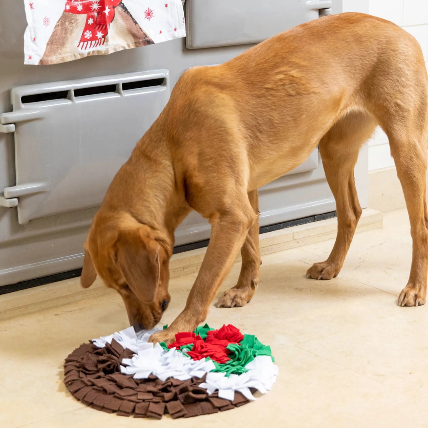 House Of Paws Snuffle Toy - Christmas Pudding