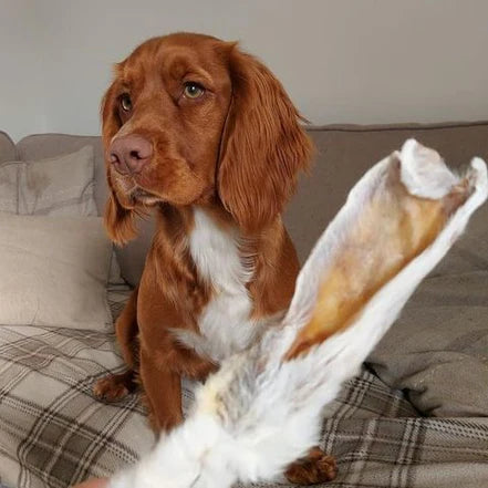 JR Rabbit Ears with Hair 100g