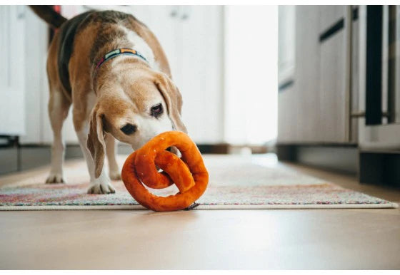 Pretzel Plush Dog Toy
