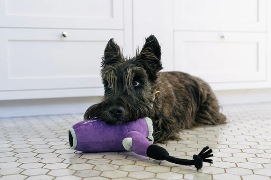 Splish Splash - Howlin' Hair Dryer Dog Toy