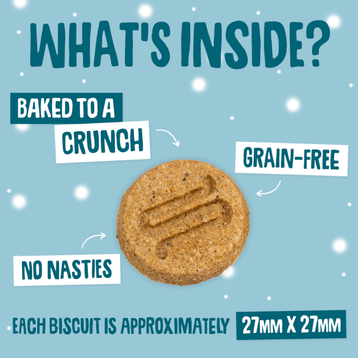 Scrumbles Christmas Turkey & Cranberry Dog Treats