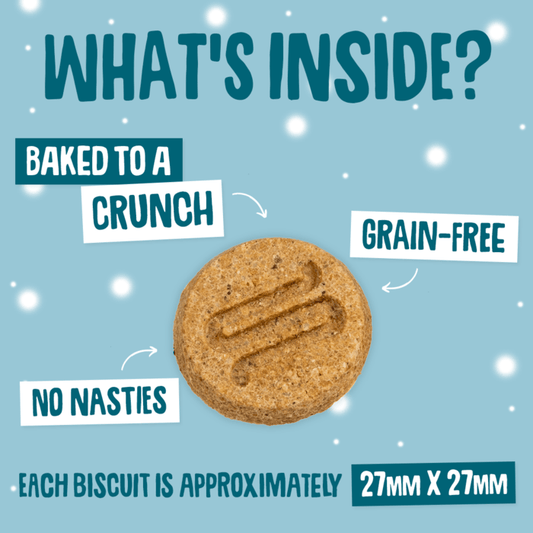 Scrumbles Christmas Turkey & Cranberry Dog Treats