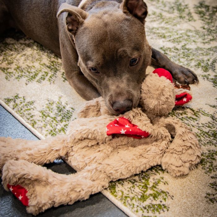Rita Reindeer Dog Toy