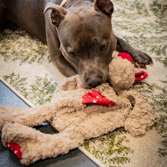 Rita Reindeer Dog Toy