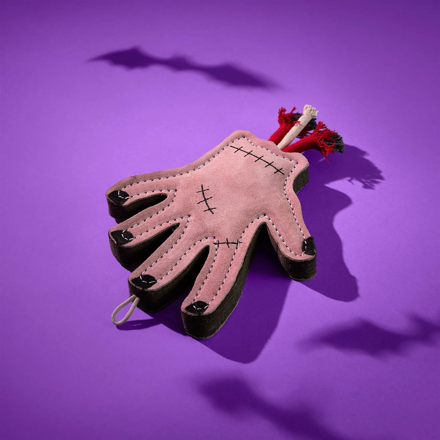 The Hand, Eco Dog Toy