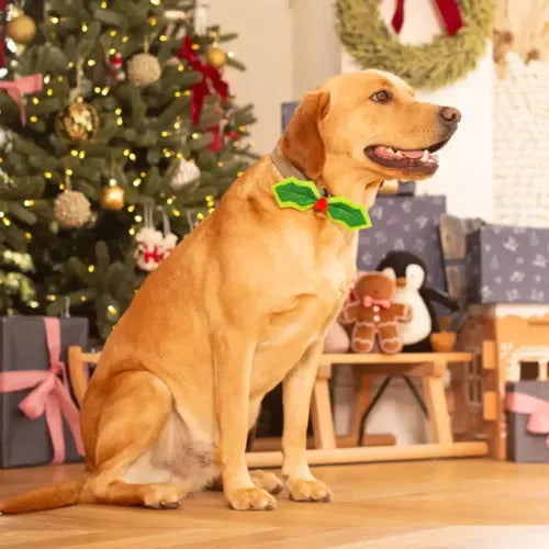 Dog Holly Bow Tie