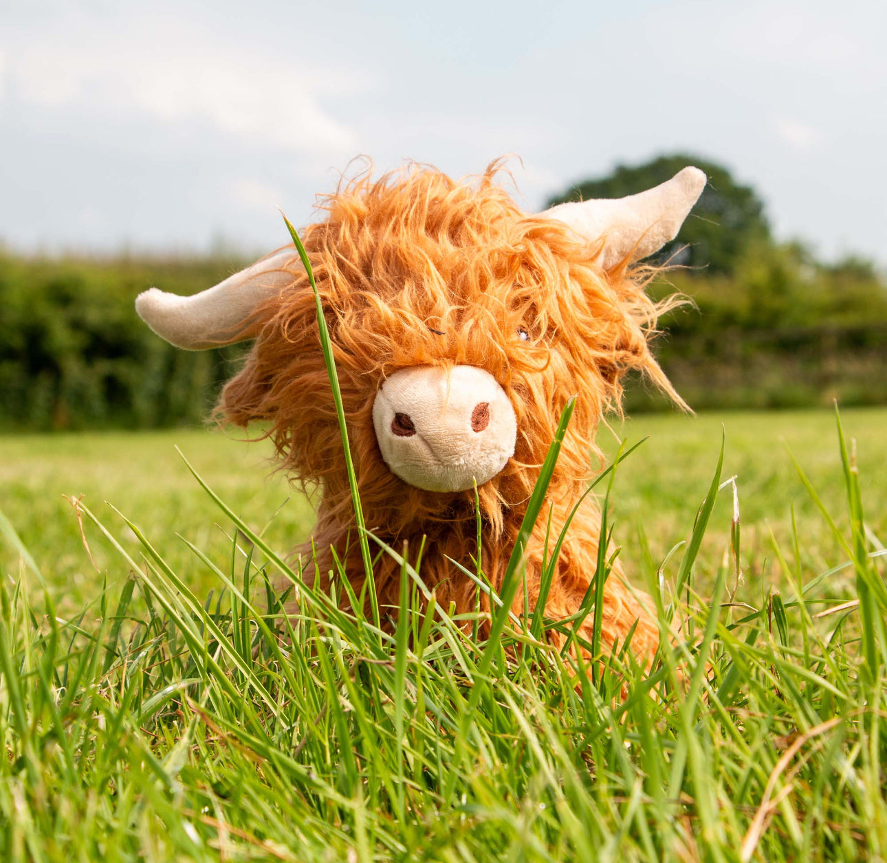 Fergus Highland Cow Dog Toy