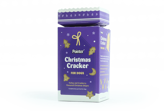 Pointer Christmas Cracker for Dogs