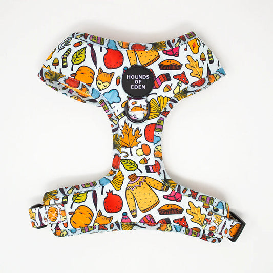 Hounds of Eden Country Pumpkin Dog Harness