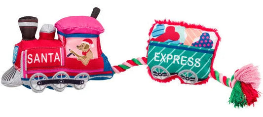 Merry & Bright Santa Paw Express